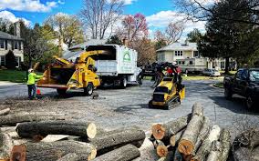 How Our Tree Care Process Works  in Winter Haven, FL